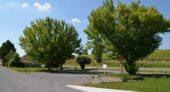 Aire de services camping-cars de Pont à Brac