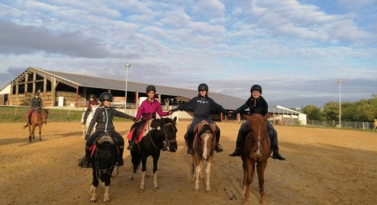 Le Bercail Equitation