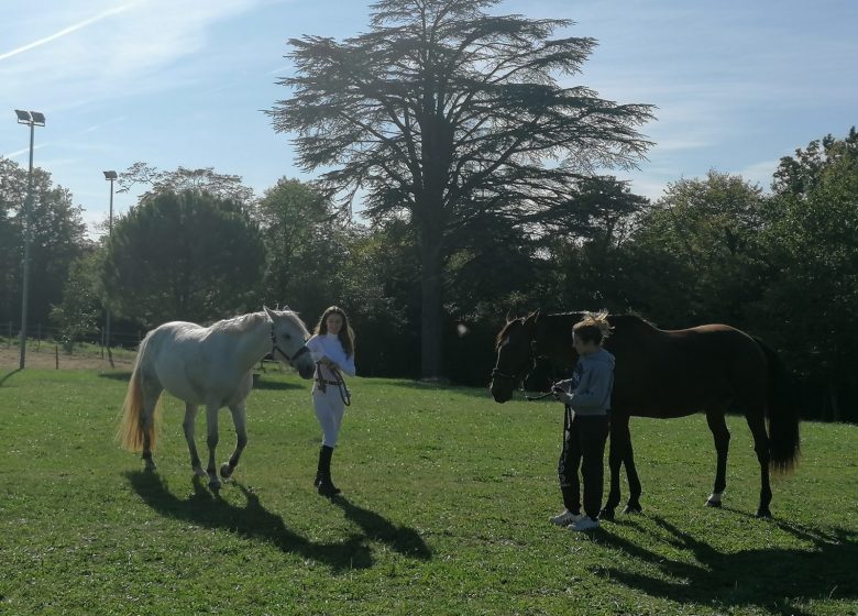 Le Bercail Equitation