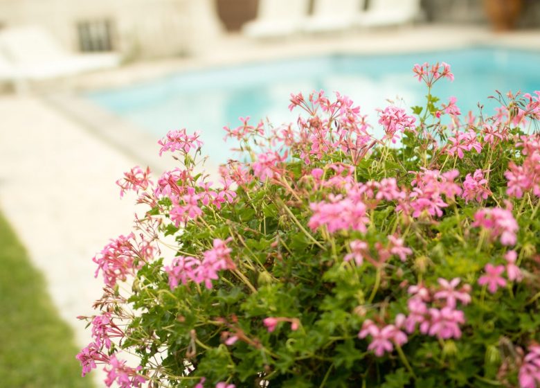 Le Clos Saint Georges – Chambre nuages