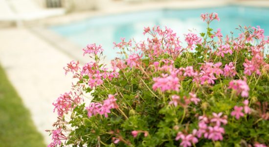 Le Clos Saint Georges – Chambre coquelicots